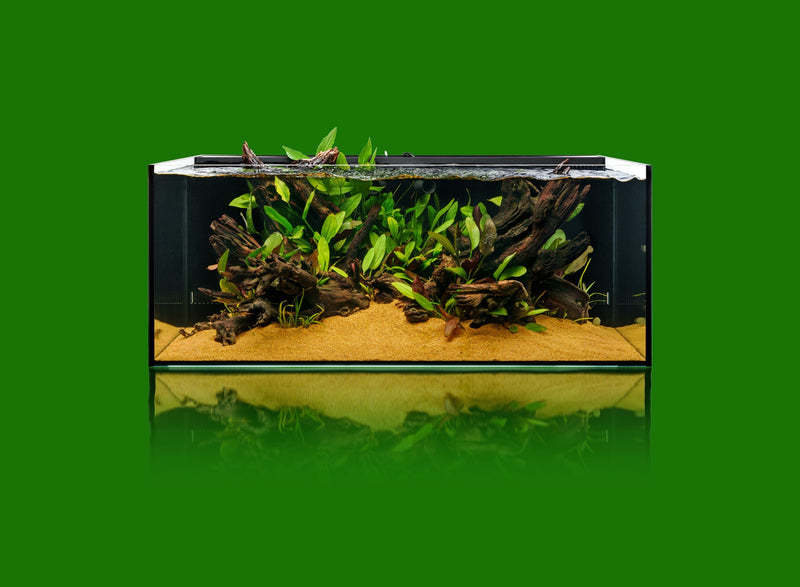 Ultum Nature Systems UNS 90SA 47.9-gallon dual all-in-one rimless aquarium showing clear glass and sleek design