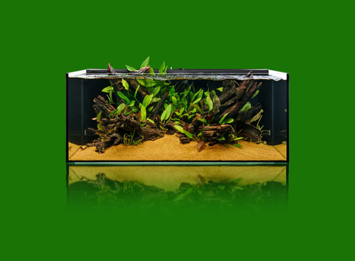 UNS 90SA - 47.9 Gallon Dual AIO Rimless Aquarium