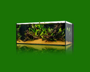 Ultum Nature Systems UNS 90SA 47.9-gallon dual AIO rimless aquarium with sleek design and clear glass for freshwater or marine setup.