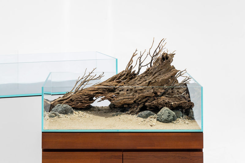 Ultra clear 33.3-gallon rimless aquarium by Ultum Nature Systems, showcasing a sleek, modern design with transparent glass edges.