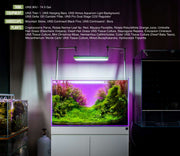 UNS Ultra Clear Tanks [STANDARD] Rimless Tanks - Buce Plant