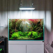 Ultra clear UNS 90U rimless aquarium by Ultum Nature Systems, 74.5-gallon tank with sleek, modern design and panoramic viewing.