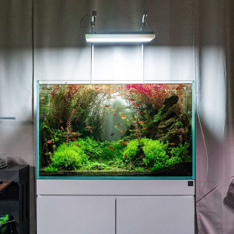 Ultra clear UNS 90U rimless aquarium by Ultum Nature Systems, 74.5-gallon tank with sleek, modern design and panoramic viewing.