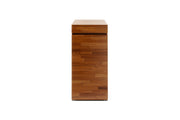 UNS Aquarium Stand - Natural Wood Aquarium Stand - Buce Plant