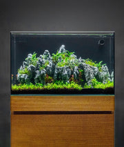 UNS Aquarium Stand - Oak Aquarium Stand - Buce Plant