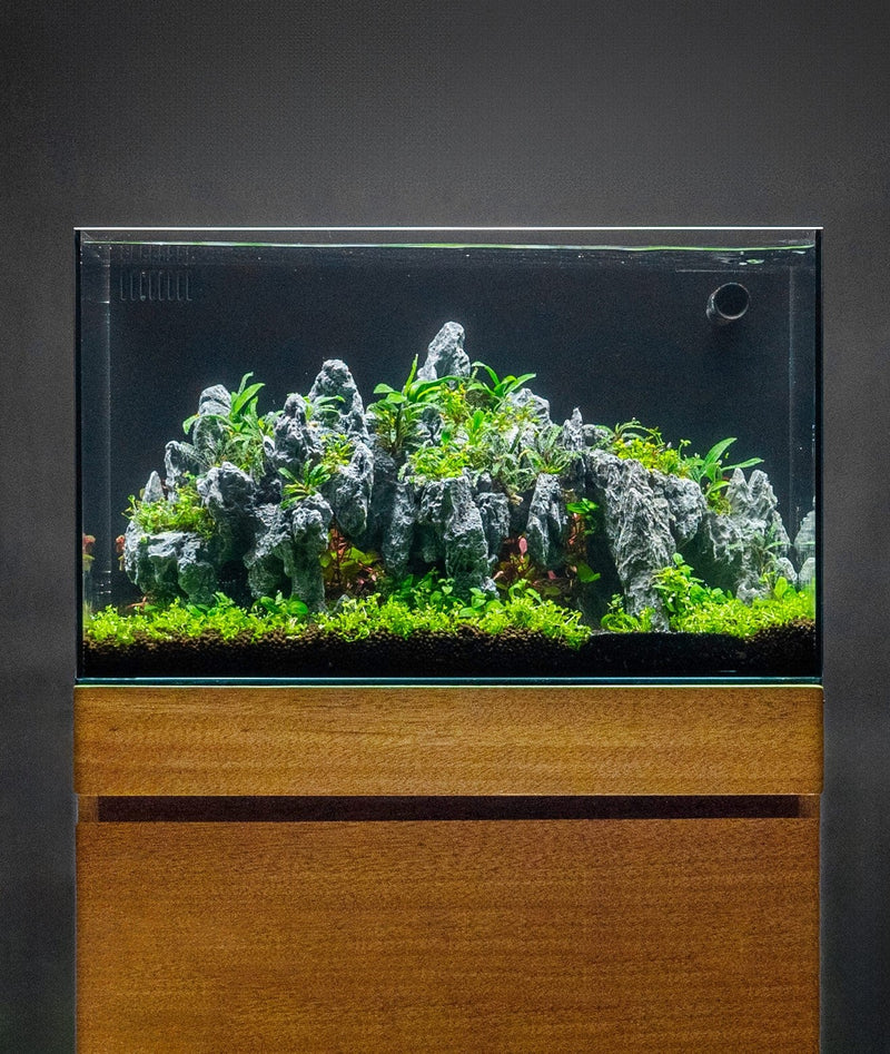 UNS Aquarium Stand - Oak Aquarium Stand - Buce Plant