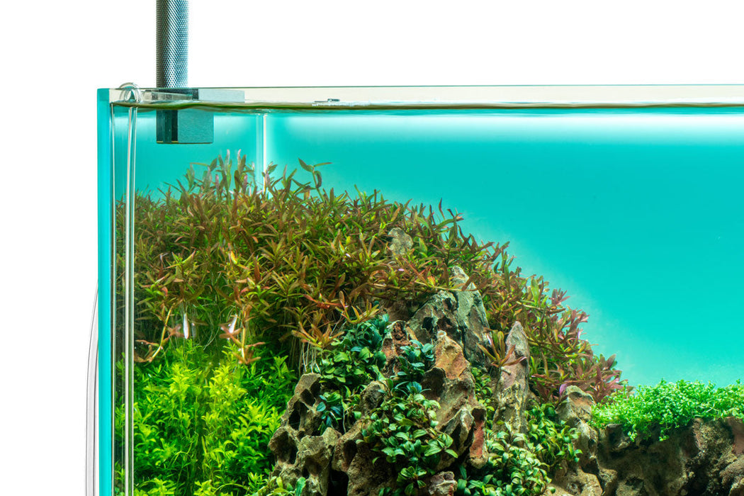 UNS Atmos Aquarium Light Background — Buce Plant