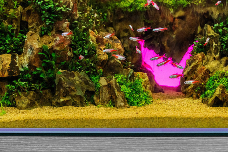 UNS Atmos Aquarium Light Background Accessories - Buce Plant