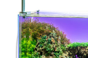 UNS Atmos Aquarium Light Background Accessories - Buce Plant