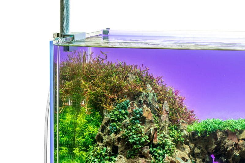 UNS Atmos Aquarium Light Background Accessories - Buce Plant