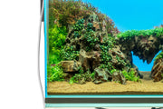 UNS Atmos Aquarium Light Background Accessories - Buce Plant