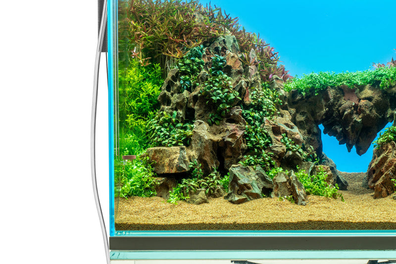 UNS Atmos Aquarium Light Background Accessories - Buce Plant