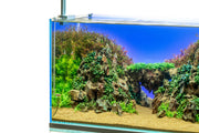 UNS Atmos Aquarium Light Background Accessories - Buce Plant