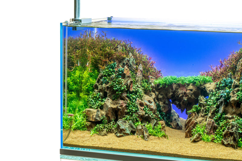 UNS Atmos Aquarium Light Background Accessories - Buce Plant
