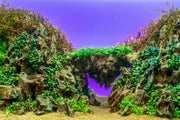 UNS Atmos Aquarium Light Background Accessories - Buce Plant
