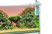 UNS Atmos Aquarium Light Background Accessories - Buce Plant