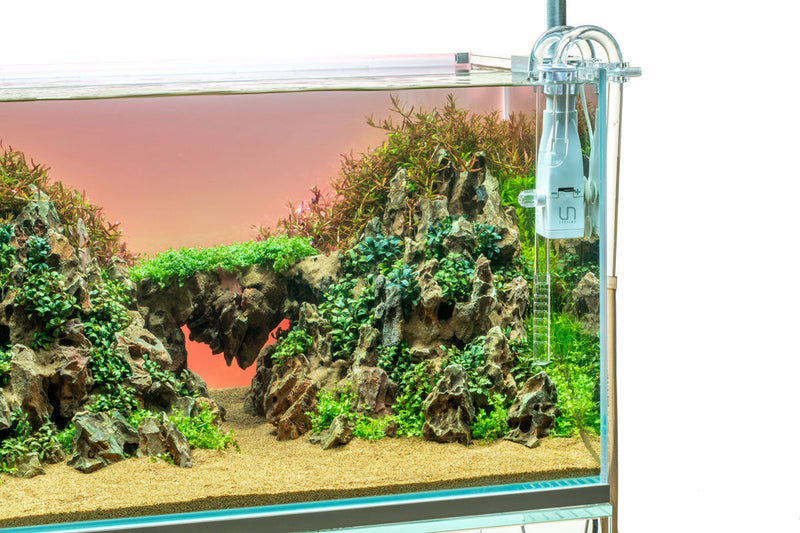 UNS Atmos Aquarium Light Background Accessories - Buce Plant