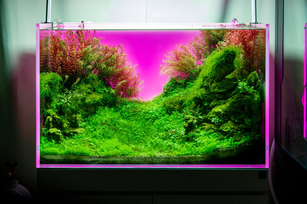 UNS Atmos Aquarium Light Background