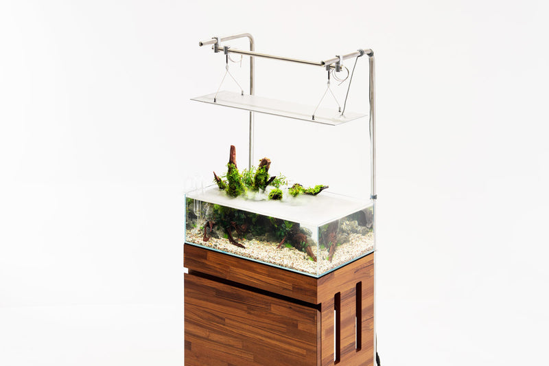 UNS 60S - 10.2 Gallon Ultra Clear Rimless Aquarium Rimless Tanks - Buce Plant