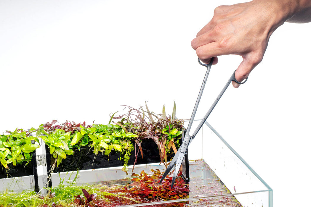 UNS Black Straight Scissors