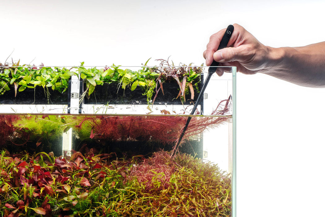 UNS Black Straight Tip Pinsettes