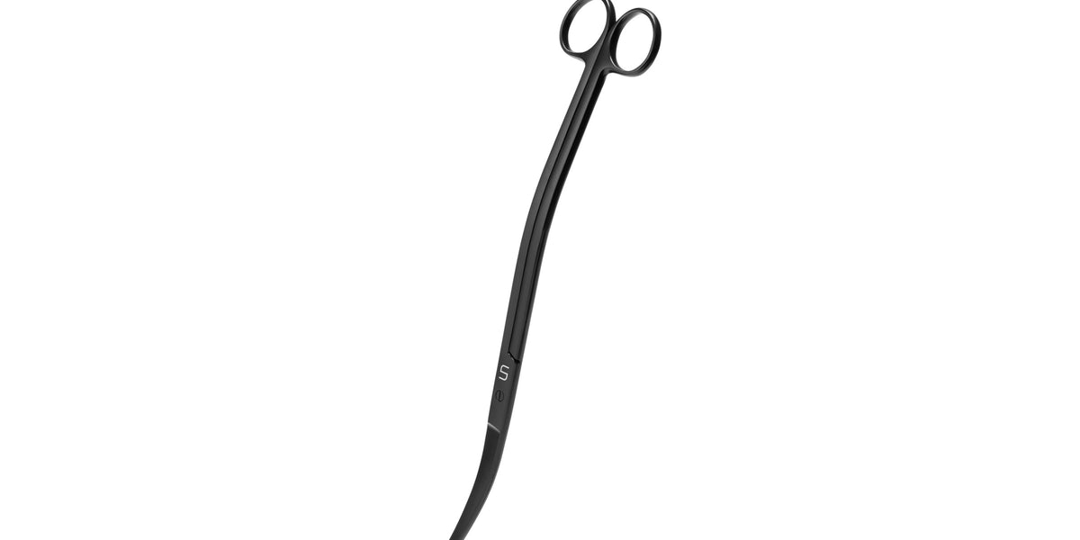 UNS Black Wave Scissors — Buce Plant