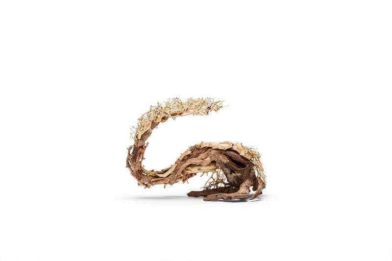 UNSHARDSCAPE UNS Bonsai 001 driftwood piece with intricate natural textures and twisted shape for bonsai or decorative use