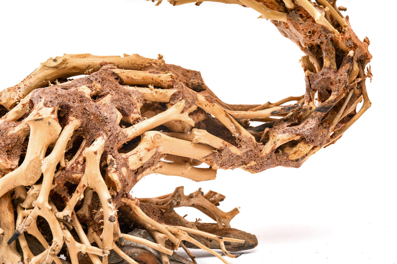 UNSHARDSCAPE UNS Bonsai 001 driftwood piece with intricate, natural wood texture for bonsai or decorative display