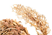 UNSHARDSCAPE UNS Bonsai 001 driftwood piece showing intricate natural wood textures and organic shape on a neutral background.