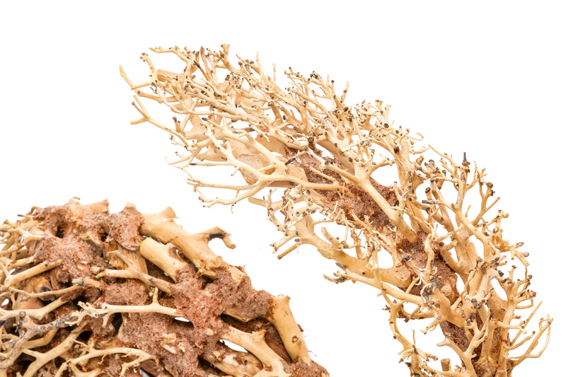 UNSHARDSCAPE UNS Bonsai 001 driftwood piece showing intricate natural wood textures and organic shape on a neutral background.