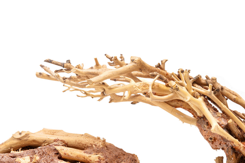 UNSHARDSCAPE UNS Bonsai 001 driftwood piece with natural twisted and textured wood for bonsai or decorative display
