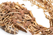 UNSHARDSCAPE UNS Bonsai 001 driftwood piece, natural wooden sculpture for bonsai or decorative display, detailed textured wood.