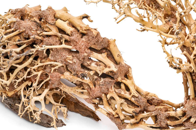 UNSHARDSCAPE UNS Bonsai 001 driftwood piece, natural wooden sculpture for bonsai or decorative display, detailed textured wood.