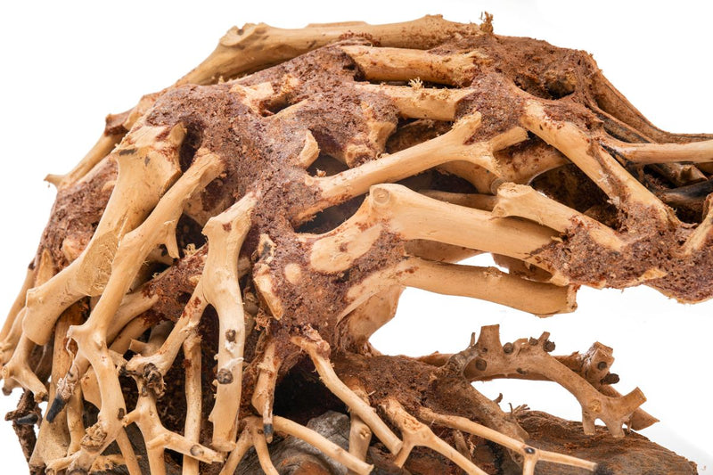 UNSHARDSCAPE UNS Bonsai 001 driftwood piece with natural, twisted wood shape for bonsai or decorative display.