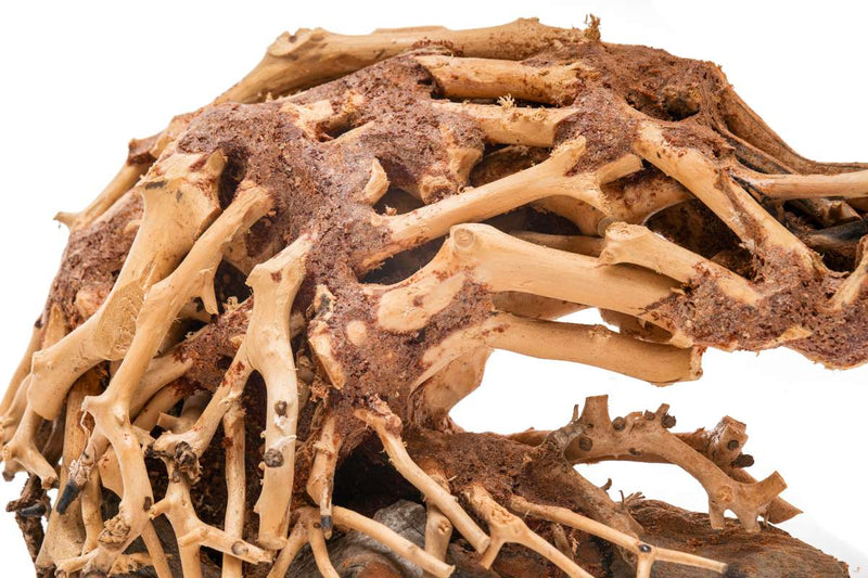UNSHARDSCAPE UNS Bonsai 001 driftwood piece with natural, textured wood grain on a plain background
