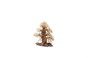 UNSHARDSCAPE UNS Bonsai 002 driftwood sculpture with intricate, natural wood textures and organic shapes on a neutral background.