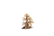 UNSHARDSCAPE UNS Bonsai 002 driftwood piece with intricate, natural wood texture suitable for bonsai or decorative displays