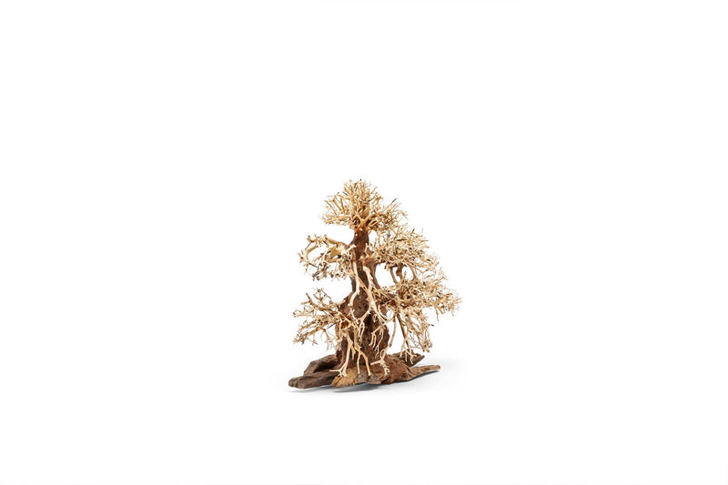 UNSHARDSCAPE UNS Bonsai 002 driftwood piece with intricate, natural wood texture suitable for bonsai or decorative displays