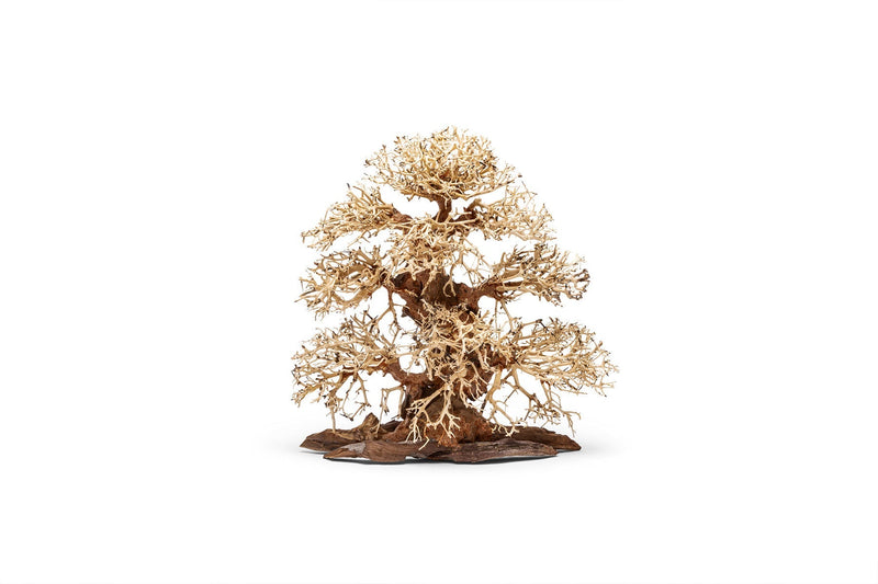 UNSHARDSCAPE UNS Bonsai 002 driftwood piece with intricate natural textures and organic shape, suitable for bonsai or decorative displays.