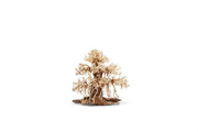 UNSHARDSCAPE UNS Bonsai 002 driftwood piece with intricate natural textures and organic shape for bonsai or decorative displays