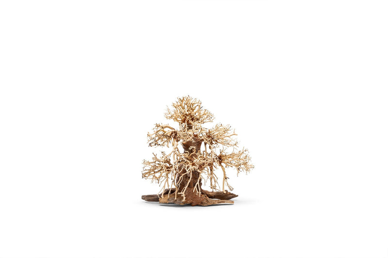 UNSHARDSCAPE UNS Bonsai 002 driftwood piece with intricate natural textures and organic shape for bonsai or decorative displays