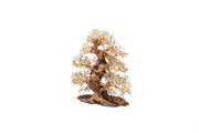UNSHARDSCAPE UNS Bonsai 002 driftwood piece with intricate natural wood textures for decorative bonsai arrangements.