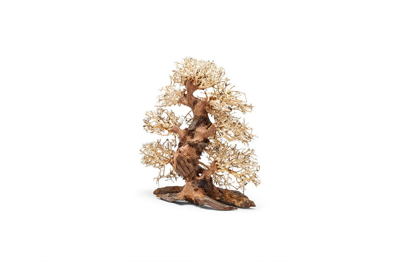 UNSHARDSCAPE UNS Bonsai 002 driftwood piece with intricate natural wood textures for decorative bonsai arrangements.