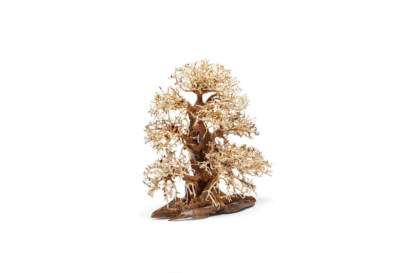 UNSHARDSCAPE UNS Bonsai 002 driftwood piece with intricate natural wood grain and organic shape for bonsai or decorative use