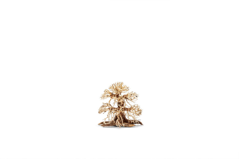 UNSHARDSCAPE UNS Bonsai 002 driftwood piece with intricate natural grain and organic shape, ideal for bonsai or decorative displays.