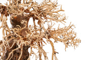 UNSHARDSCAPE UNS Bonsai 002 driftwood piece with intricate natural wood texture and organic shape for bonsai decoration.