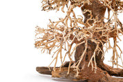UNSHARDSCAPE UNS Bonsai 002 driftwood piece with intricate natural wood textures and organic shape for bonsai decoration or display