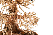 UNSHARDSCAPE UNS Bonsai 002 driftwood piece with natural, textured wood shape for decorative or bonsai display purposes