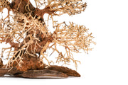 UNSHARDSCAPE UNS Bonsai 002 driftwood piece with intricate, natural wood textures and organic shape for bonsai or decorative display