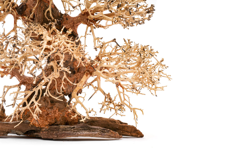 UNSHARDSCAPE UNS Bonsai 002 driftwood piece with intricate, natural wood textures and organic shape for bonsai or decorative display